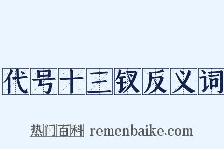 代号十三钗反义词是什么意思的图片